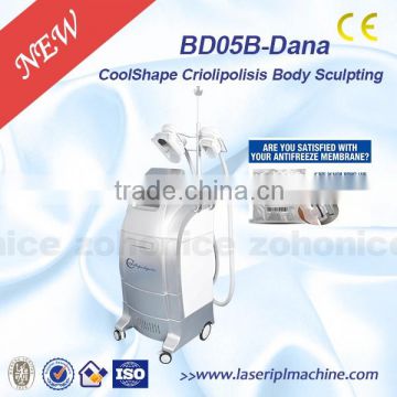 coolshape cryo freeze fat cell slimming machine with 2 handle BD05B