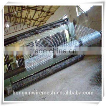 hexagonal chicken wire mesh