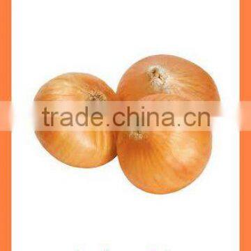 Export Fresh new crop red yellow onion