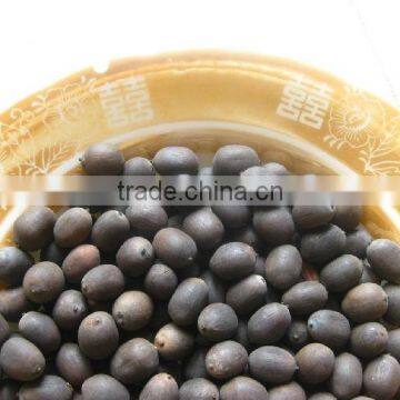 Dried Lotus Seed