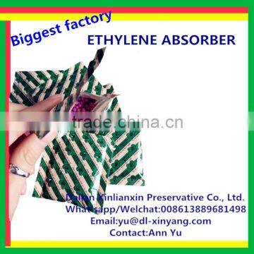 Ethylene Absorbers for Mango, Banana, Mango, Tomato, Peach photo-4
