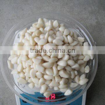 2015 New Crop Garlic in brine 600-800