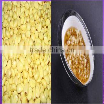 good quality garlic ginger machine large stock garlic mashed machine 0086-13503826925