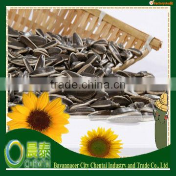 2013 Hot Sell New Crop Bulk Sunflower Seeds