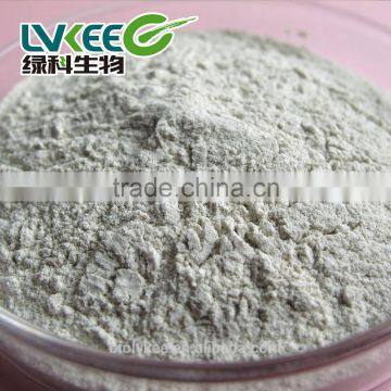 Lvkee Supply 100 Billion Cfu/g Bacillus Subtilis for Agriculture photo-3