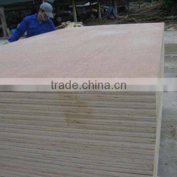 Plywood From Eucalyptus Veneer Kego Co photo-3