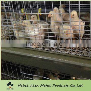 chicken broiler cage,farming broiler cage,broiler cage chinese supplier