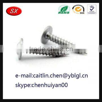 OEM Customized Galvanized Pan Head Screw photo-2