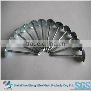 smooth or twisted galvanized umbrella Roofing nails with washer
