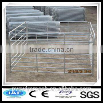 Pipe fencing for horses with factory price