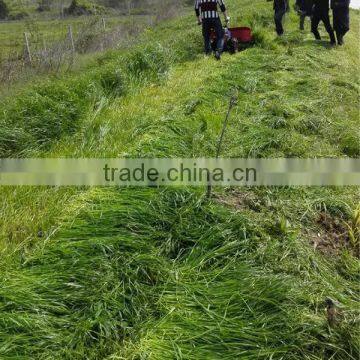 Mini Cheap Grain Hand Reaper in Harvesters photo-5