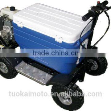 Hot sale 48L 43cc EPA gas Cooler Scooter/camping scooter (TKS-S43)