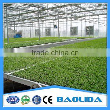 Multi-span Greenhouse photo-2