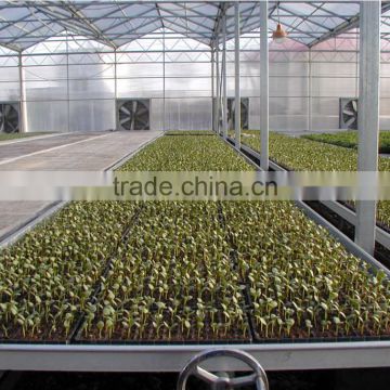 XinHe Grow seedlings bed system