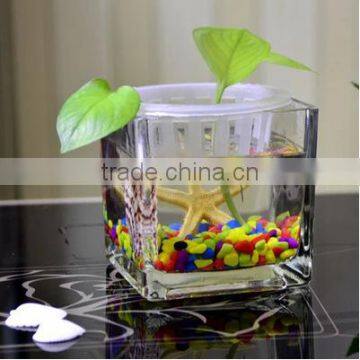 Home Table Decoration Square Clear Glass Plant Hydroponic Container Flower Vases photo-3