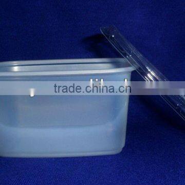 Disposable fast food container/PS fast food container