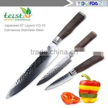 Japanese VG-10 Core and 67 Layer Damascus Steel Professional Kitchen Knife 3-Piece photo-2