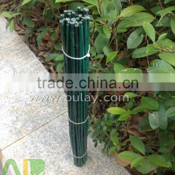 Green bamboo dried,round flower sticks for sale