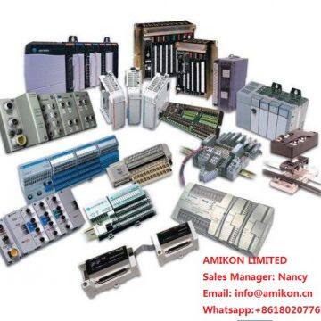 Amikon Limited company overview - view 1