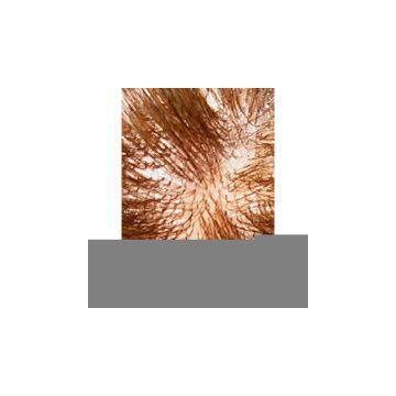 Sell Men's Hairpiece