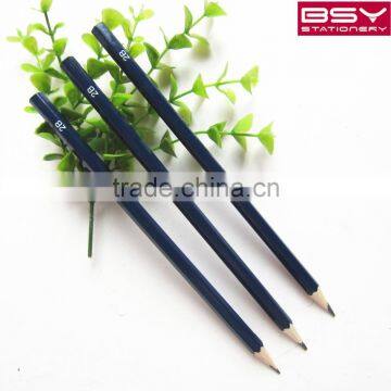 12 pcs 2Bpencils in oppbag.