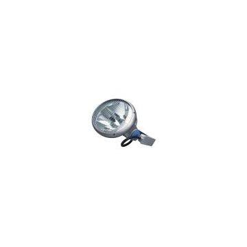 Floodlight (2000W)