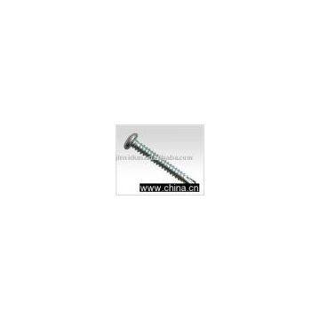 Self Tapped Screw