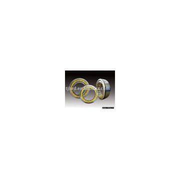 Sylindrical roller bearings(single row,double row)