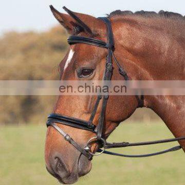 Horse Leather Bridles