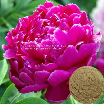 Paeoniflorin-sales@staherb.cn