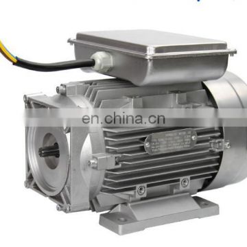 Ac Asynchronous Gear Motor Electric Motor For Bike