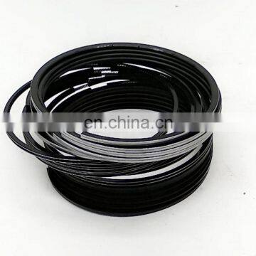 piston ring kit VG109030006