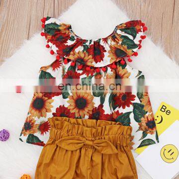 2019 Toddler Girls Summer Clothing Set Floral Rose Vest + Kids Shorts Kids Clothes Girls Shirt Pants Suit photo-6