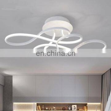 LED Ceiling Lamp Simple Modern Household Personality Living Room Bedroom Lamp Creative Dining Room Study Lamp photo-2