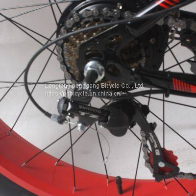 Fat Tire Electric Bicycle 26inch Steel 21 Speed E-bike photo-3