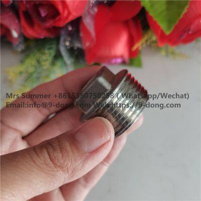 DN25 Stainless Steel Pipe Square Plug 1