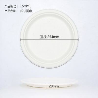 These Disposable Paper Plates Are 10 Inches in Size