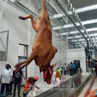 Specially Customized Bull Butcher Machine Blood Trough For Cow Slaughter House photo-3