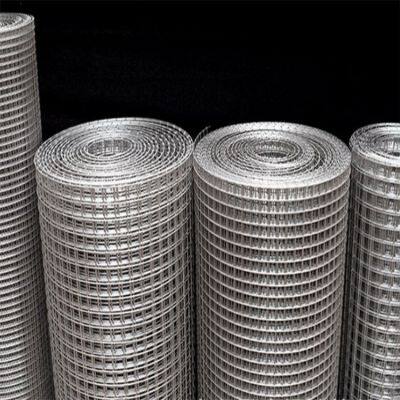 Welded Wire Mesh Rolls - Plain Weave Low Carbon Steel for Protecting Mesh photo-4