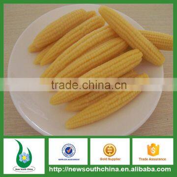 Canned Food Canned Baby Corn In New Products 2016