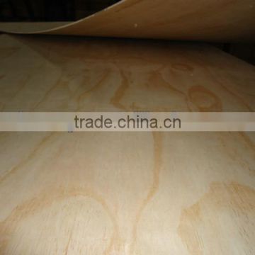 China cheapest price plywood