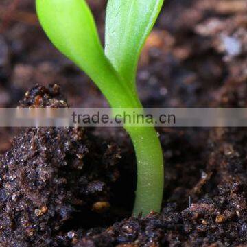 Water Soluble Sodium Humate photo-2