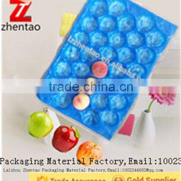 Free Sample Custom Wholesale Blister Stackable Perforated Plastic Tray for Fruit Packing