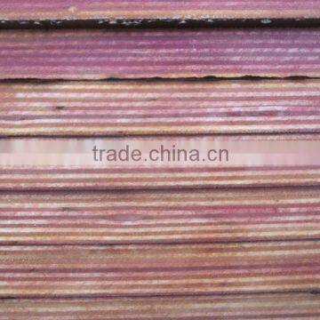 Macedonia Market Film Faced Plywood photo-6