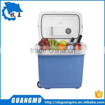 32L AC&DC electric mini car cooler box