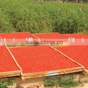 ORGANIC GOJI SIZE A280,A380