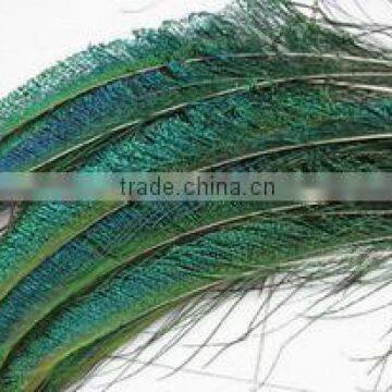 High quality peacock feather factory wholesale 25-30cm