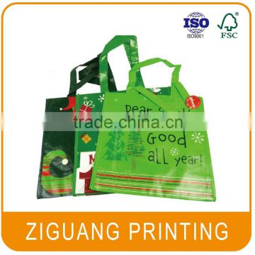 Eco Friendly PP Non Woven Bag