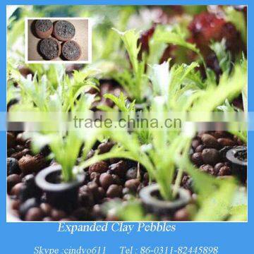 Agriculture plants soil Lightweight expanded clay aggregate