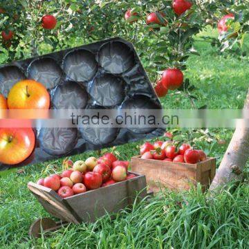 China/SGS/Colors Plastic Fruit Tray